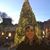 Ann Donnelly's profile image