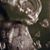 Mikayla Yancey's profile image