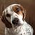 Caryn Robson's profile image