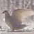 Jayne Wilkinson Basye's profile image