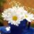 Anita Fraga's profile image