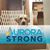 Terri Mack Hanson's profile image