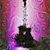 Jeff Scobee's profile image