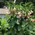 Martha Ann Baumgartner's profile image