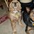 Shelly Ness's profile image