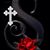 Sandi Burns's profile image