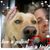 Jody Bleiler Butterfield's profile image