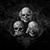 Chris Reichert's profile image
