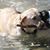 Gary Fiser's profile image