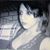 Sam Casiano's profile image