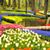 Ineke Porte's profile image