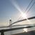 Rosalie Amico-Sabella's profile image