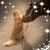 Donna Aalders's profile image