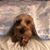 Janice Roberts Blalock's profile image