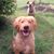 Lisa Dudley Burns's profile image