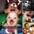 Valerie Rodriguez's profile image