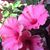 Colette Morrill Tilden's profile image