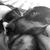 Alfredo Vega's profile image