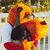 Elaine Aldous's profile image