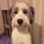 Robert J Floyd's profile image