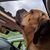 Brandy Ralston's profile image