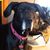 Lue Bockenstedt's profile image