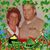 Liz Missy Richardson's profile image