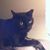 Gail Schirmer's profile image
