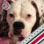 Amy Sills Clark's profile image