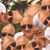 Douglas Peckham's profile image