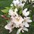 Edna Dembosky's profile image