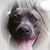 Annette Denise Reamer's profile image