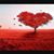 Terri Polansky's profile image