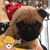 Lisa Swank Bako's profile image