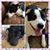 Terri Wallace's profile image