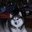 Helen R's profile image
