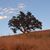 Mary Ann Furlong's profile image