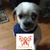 Donna Francessca Loudy's profile image