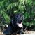 Tammy W. Yaun's profile image