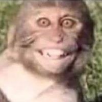 Kevin Kramer's profile image