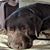 Wendy Campbell's profile image
