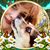 Michelle Funderburk's profile image