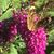 Mitzi A. McCoy's profile image