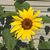 Wendy Gierke's profile image