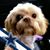 Debbi Van Blair's profile image
