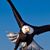 Patricia Brown's profile image
