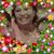 Rosa Calderon's profile image