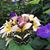 Helen Holter's profile image