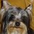 Laurie Stevens's profile image