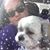 Angela M. Anderson's profile image